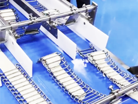 <div style="text-align: center;"><span style="color:#222222;"><span style="font-size:28px;">Triple Output Lachha Paratha Line</span></span></div> 