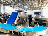 <div style="text-align: center;"><span style="color:#222222;"><span style="font-size:28px;">Tortilla Production Line</span></span></div> 